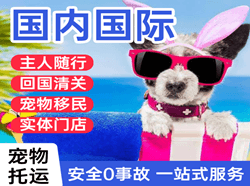 广州空运公司国际宠物托运 【国
