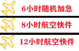 广州空运公司快递公司,专业空运当天件